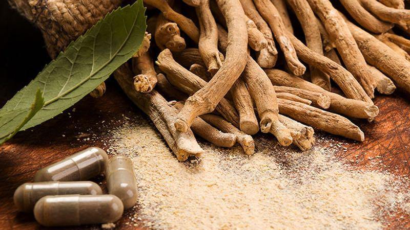 7 Health benefits of Ashwagandha - Nature Provides