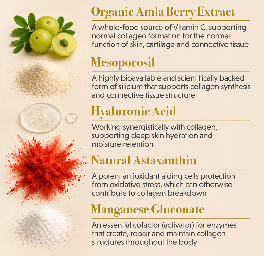 COMING SOON! Collagen Protocol+ 500 Da Marine Collagen with Organic Vitamin C - 120 Caps